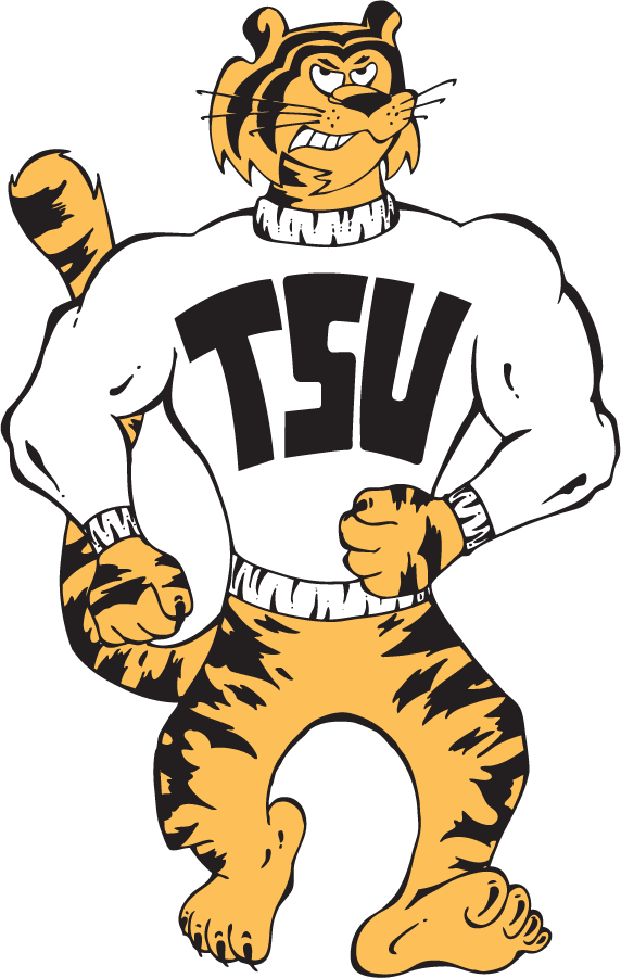 Towson Tigers 1985-1995 Primary Logo iron on transfers for T-shirts